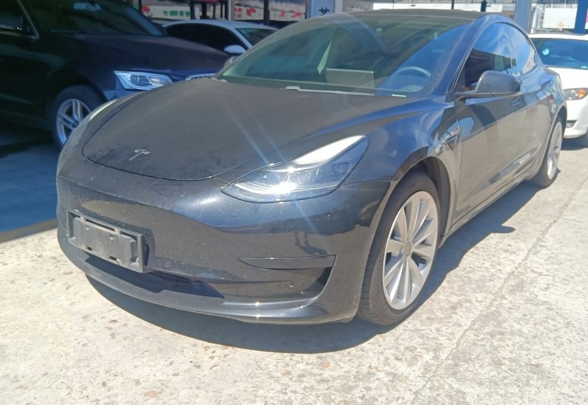 Tesla Model 3 2021 Tesla Model 3 2021 car image