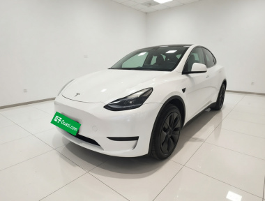 Tesla Model Y 2023 car image 