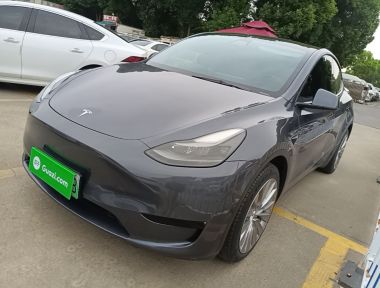 Tesla Model Y 2022 Tesla Model Y 2022 car image
