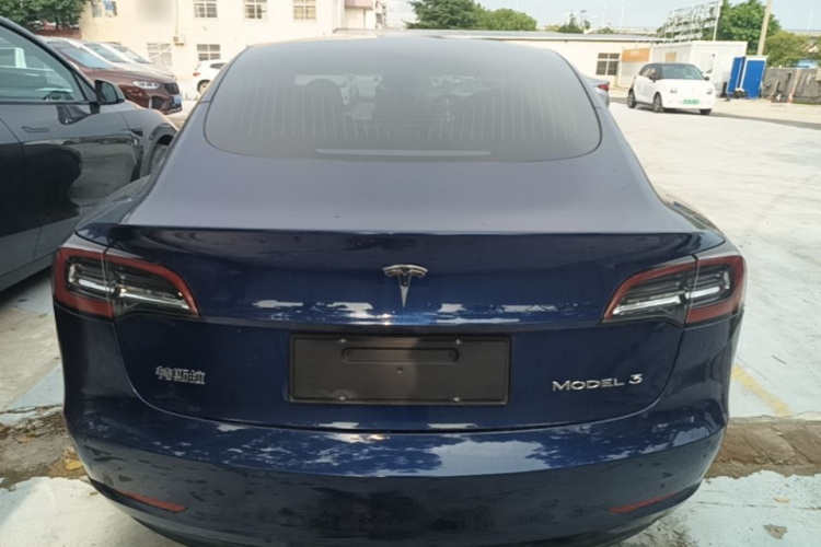 Tesla Model 3 2020 immagine di auto #6
