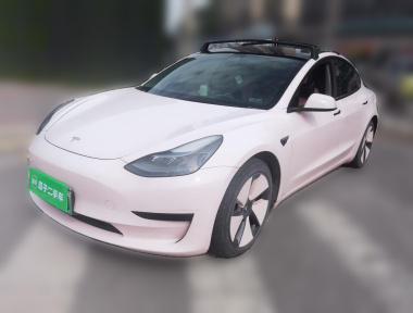 Tesla Model 3 2021 car image 