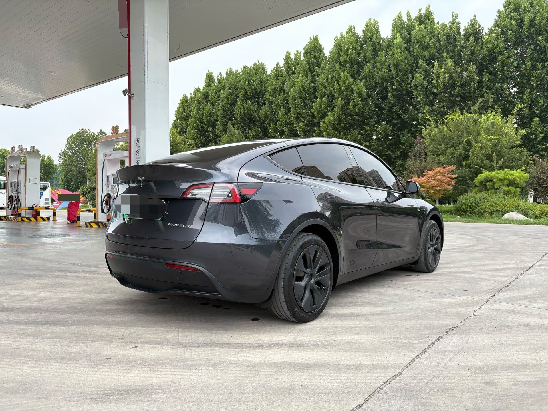 Tesla Model Y 2024 #6 Tesla Model Y 2024 car image #6