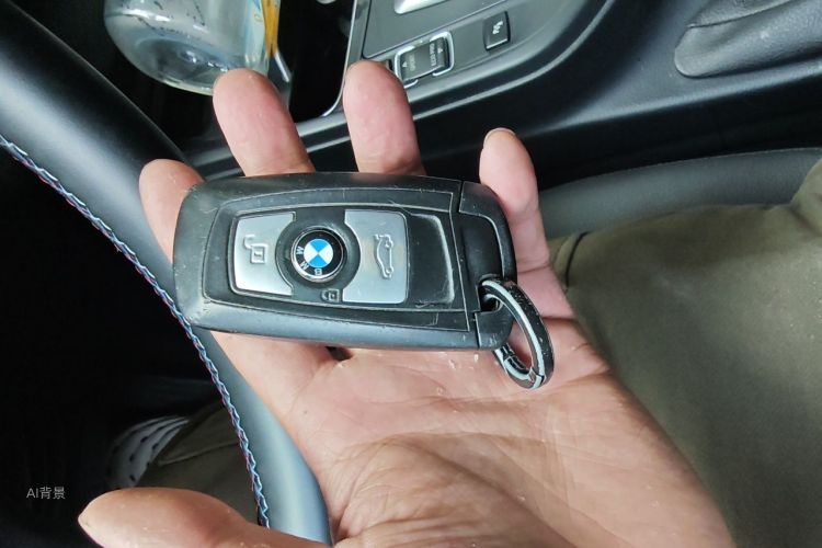 BMW 3 Series 2017 #10 BMW 3 Series 2017 car image #10
