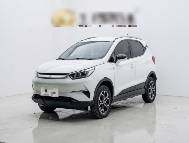 BYD Yuan Pro 2021 BYD Yuan Pro 2021 car image