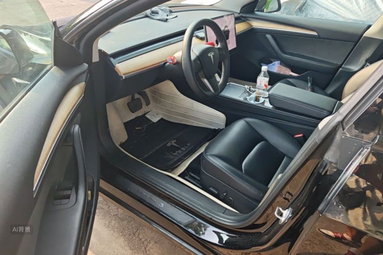 Tesla Model 3 2022 immagine di auto #18