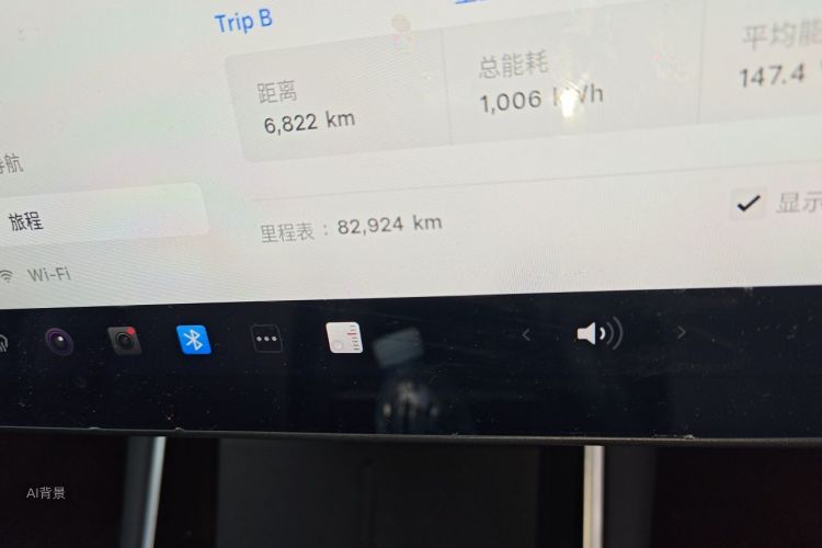 Tesla Model 3 2020 car image #14
