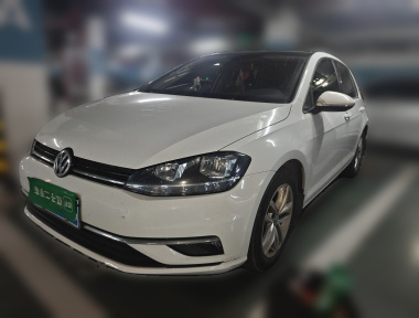 Volkswagen Golf 2019 Volkswagen Golf 2019 car image