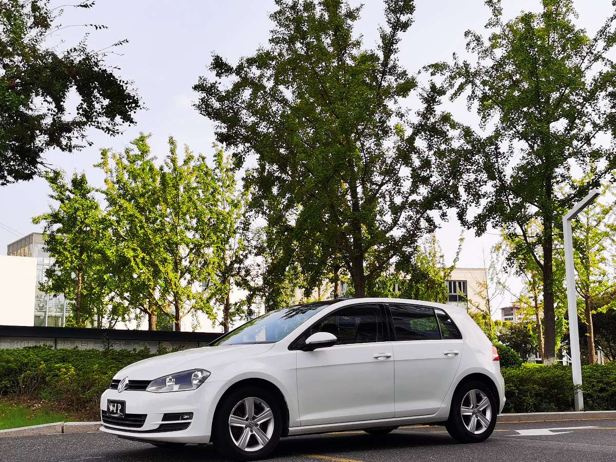 Volkswagen Golf 2014 Volkswagen Golf 2014 car image