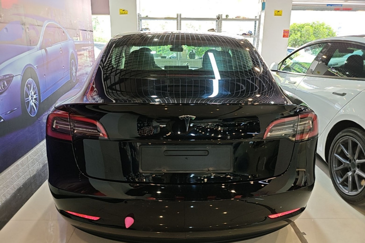 Tesla Model 3 2021 imagem de carro #4