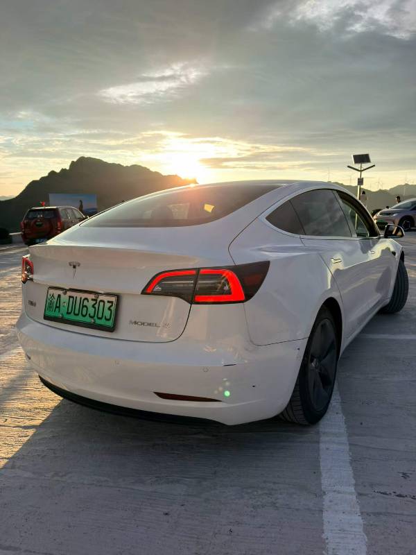 Tesla Model 3 2020 #3 Tesla Model 3 2020 car image #3
