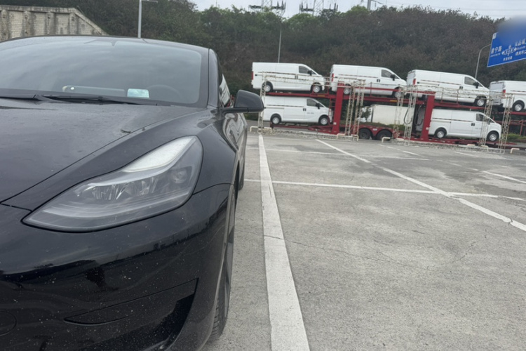 Tesla Model 3 2021 #3 Tesla Model 3 2021 car image #3