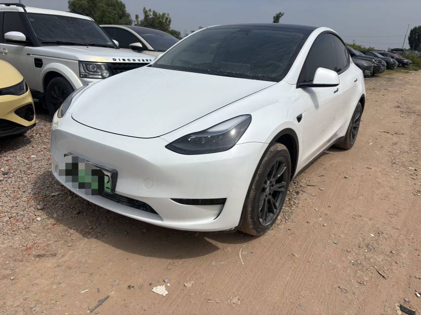 Tesla Model Y 2024 Tesla Model Y 2024 car image