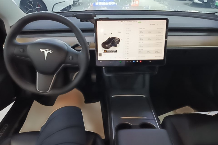 Tesla Model 3 2022 #10 Tesla Model 3 2022 car image #10