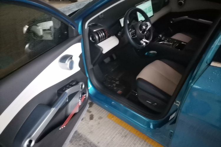 BYD Yuan Plus 2022 car image #12