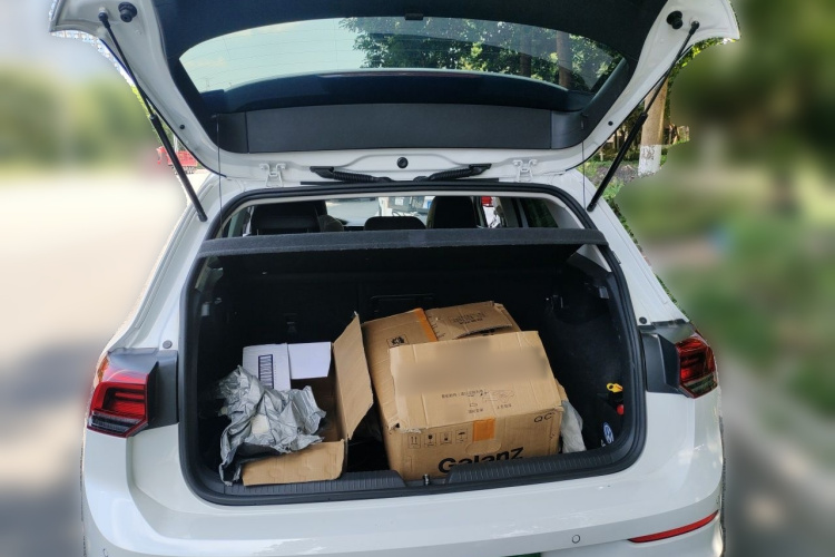 Volkswagen Golf 2022 car image #17