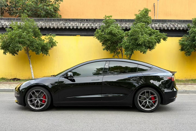 Tesla Model 3 2022 #10 Tesla Model 3 2022 car image #10
