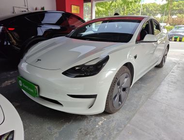 Tesla Model 3 2021 immagine di auto 
