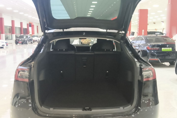 Tesla Model Y 2021 #19 Tesla Model Y 2021 car image #19