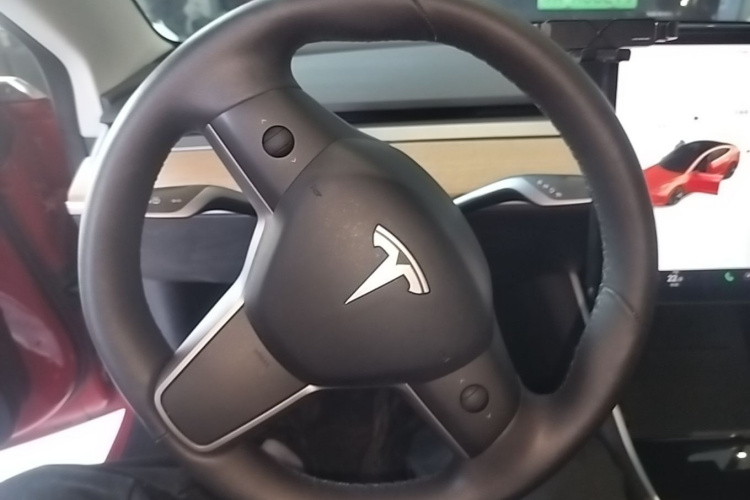 Tesla Model 3 2020 immagine di auto #11