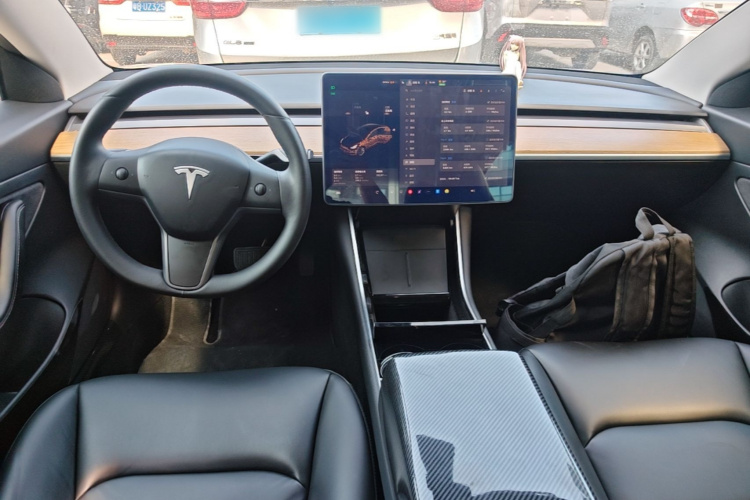 Tesla Model 3 2020 #10 Tesla Model 3 2020 صورة سيارة #10
