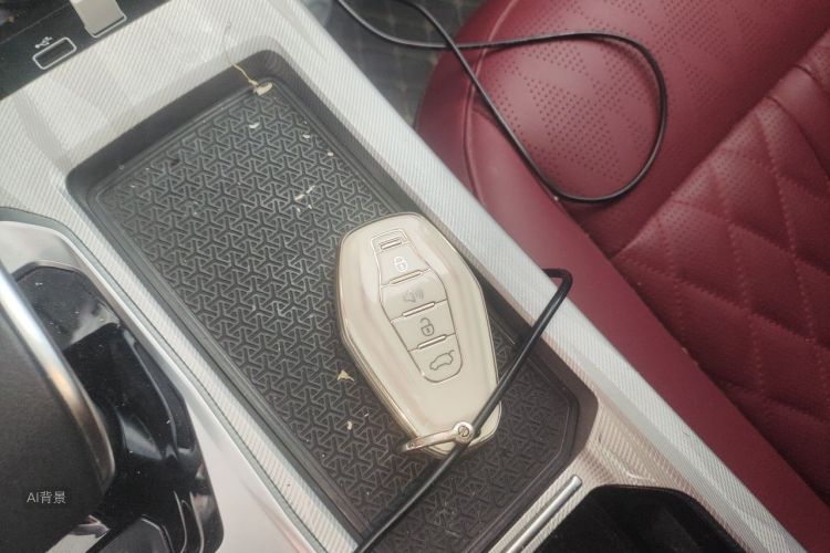 Jetour X70 PLUS 2023 car image #10