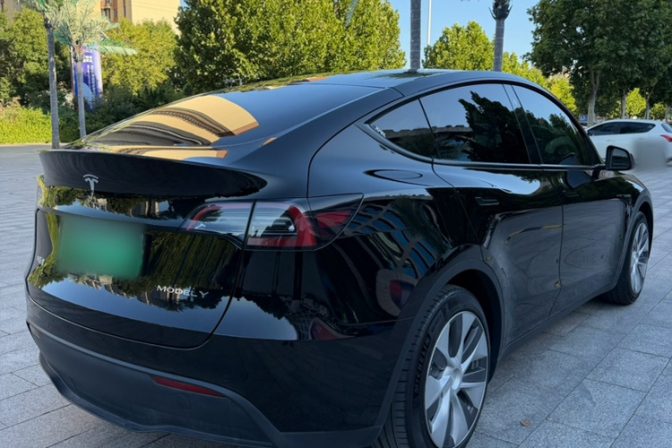 Tesla Model Y 2021 car image #6