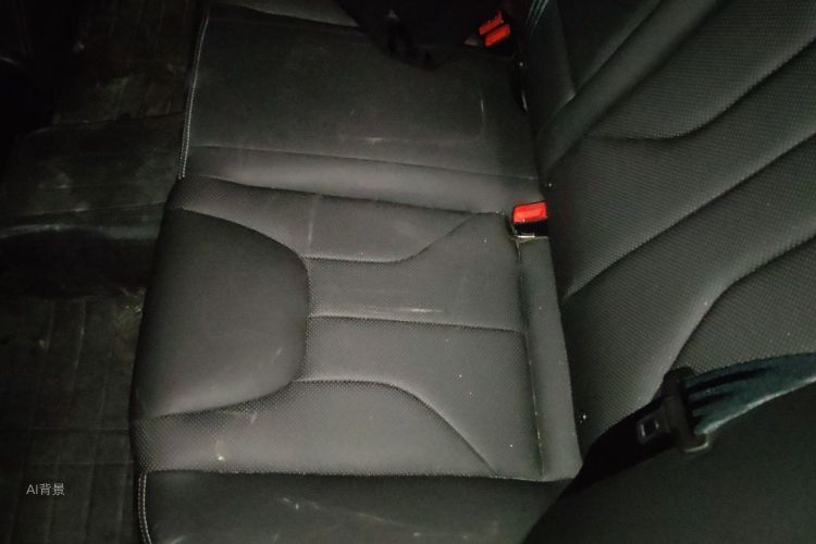 GEELY Emgrand 2017 car image #19