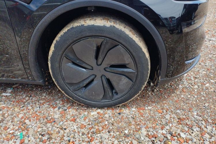 Tesla Model Y 2025 immagine di auto #6