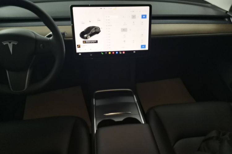 Tesla Model 3 2021 #13 Tesla Model 3 2021 car image #13