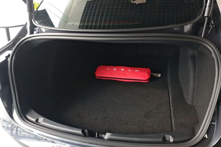 Tesla Model 3 2021 #21 Tesla Model 3 2021 car image #21