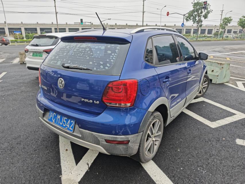 Volkswagen Polo 2013 car image #4