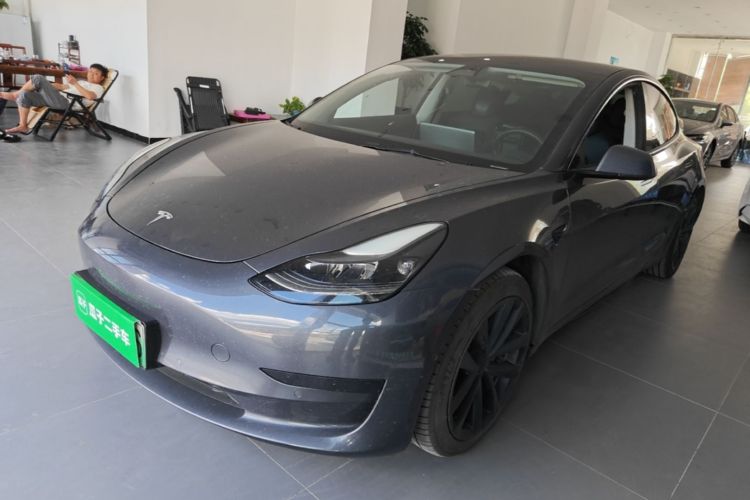 Tesla Model 3 2021 car image #2