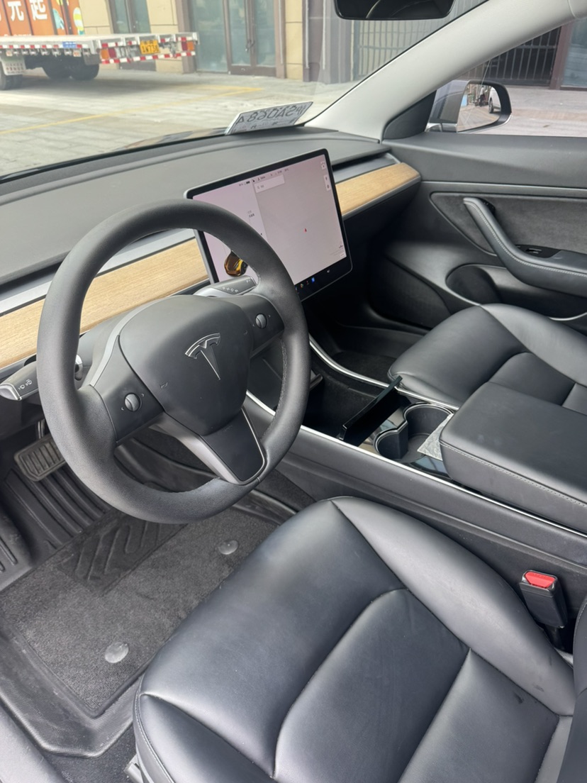 Tesla Model 3 2020 car image #5