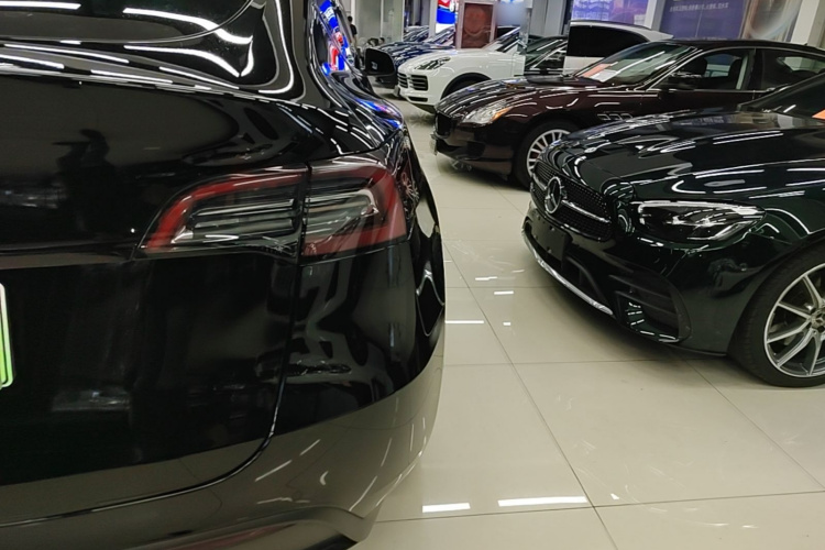 Tesla Model Y 2023 #8 Tesla Model Y 2023 car image #8