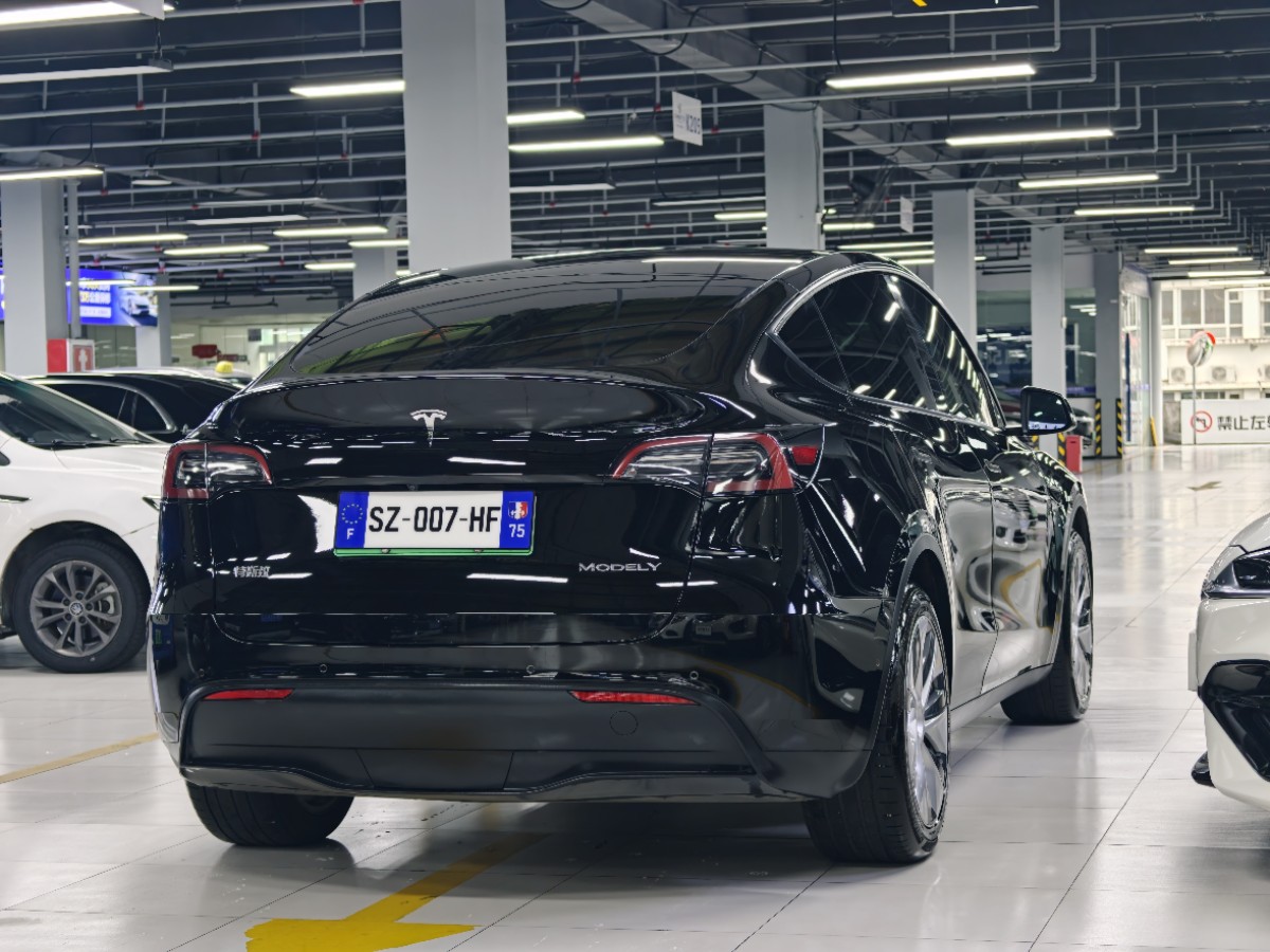 Tesla Model Y 2021 car image #9