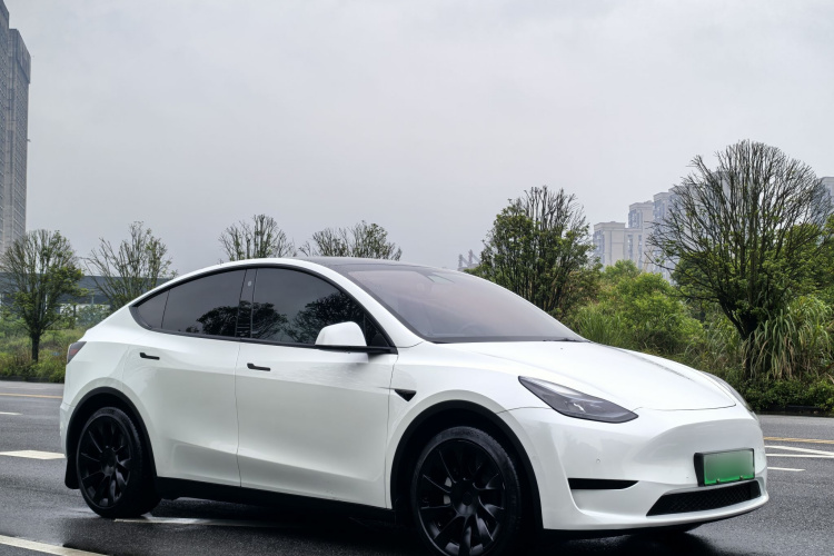 Tesla Model Y 2023 #4 Tesla Model Y 2023 car image #4
