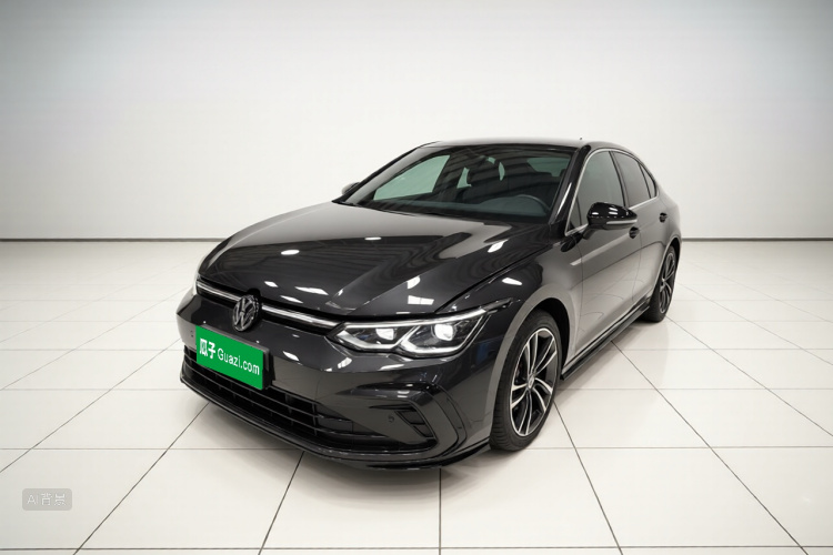 大众 高尔夫 2024 汽车图片 #2