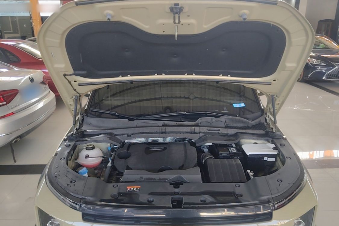 GEELY Cowboy 2024 car image #11