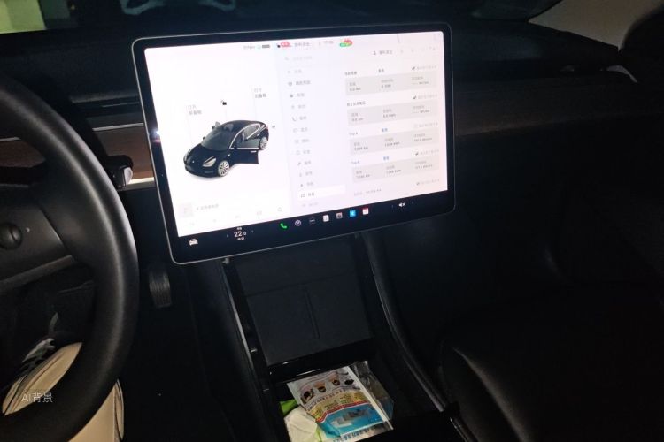 Tesla Model 3 2020 car image #15