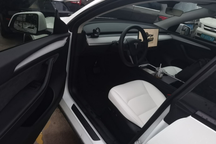 Tesla Model Y 2024 car image #16