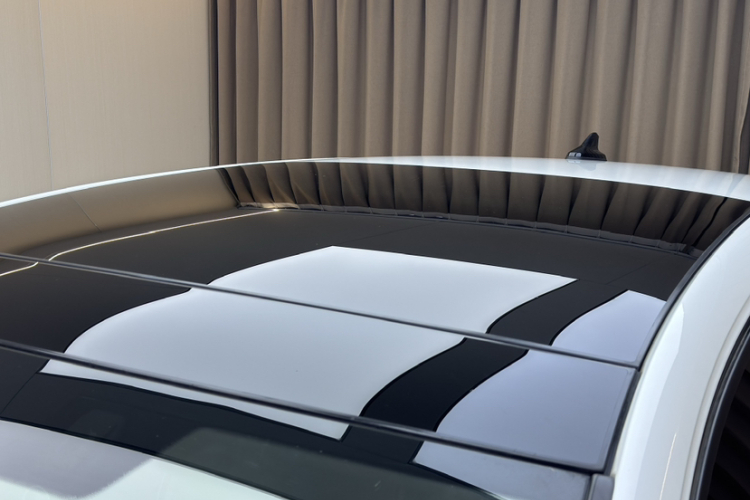 Volkswagen Golf 2021 car image #12