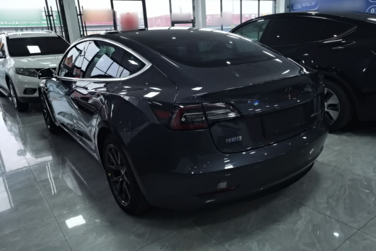 Tesla Model 3 2020 car image #5