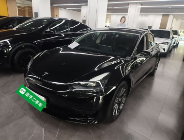 Tesla Model 3 2021 Tesla Model 3 2021 car image