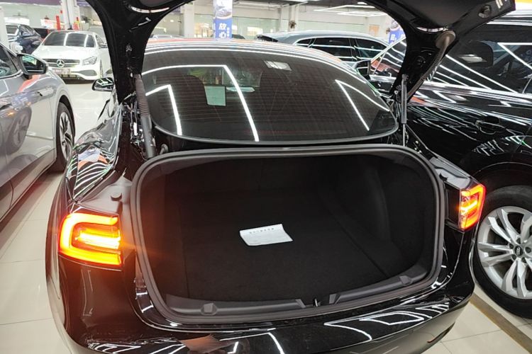 Tesla Model 3 2021 immagine di auto #25