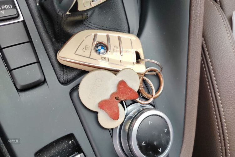 BMW X1 2021 imagen de coche #10