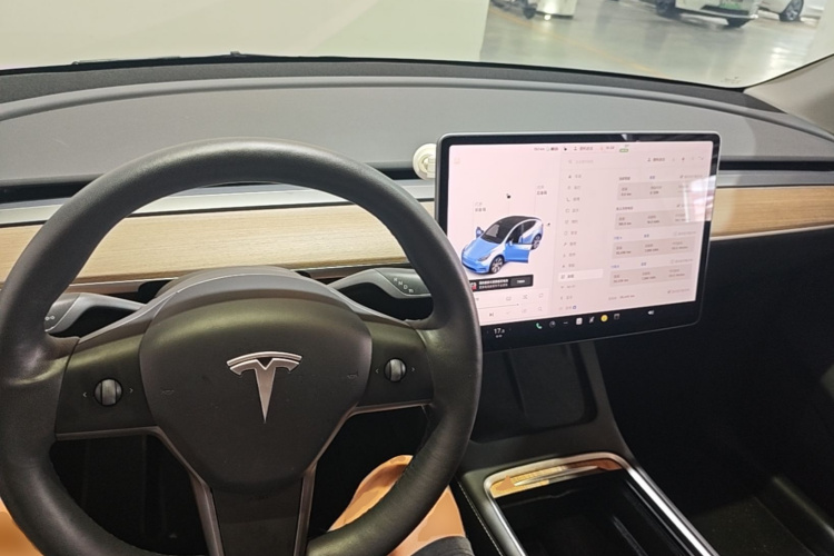 Tesla Model Y 2021 car image #10