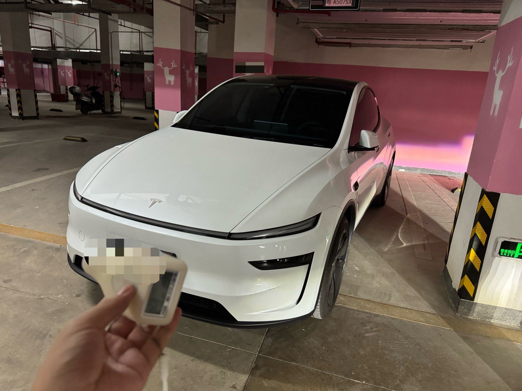 Tesla Model Y 2025 car image 