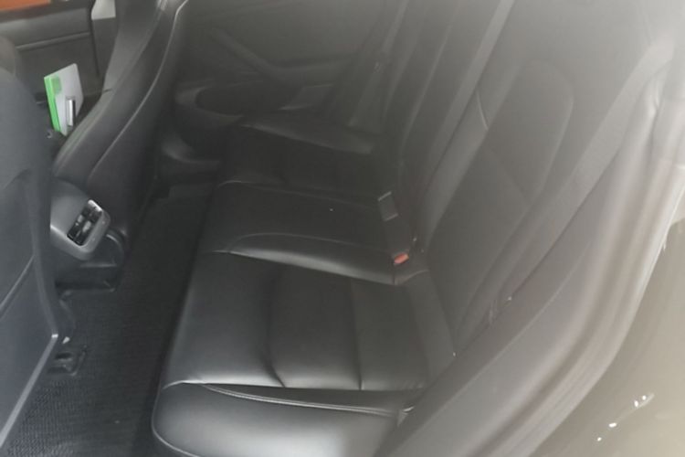 Tesla Model 3 2020 car image #17
