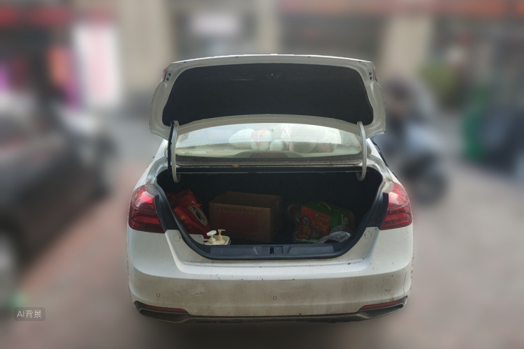 GEELY Emgrand 2018 car image #21
