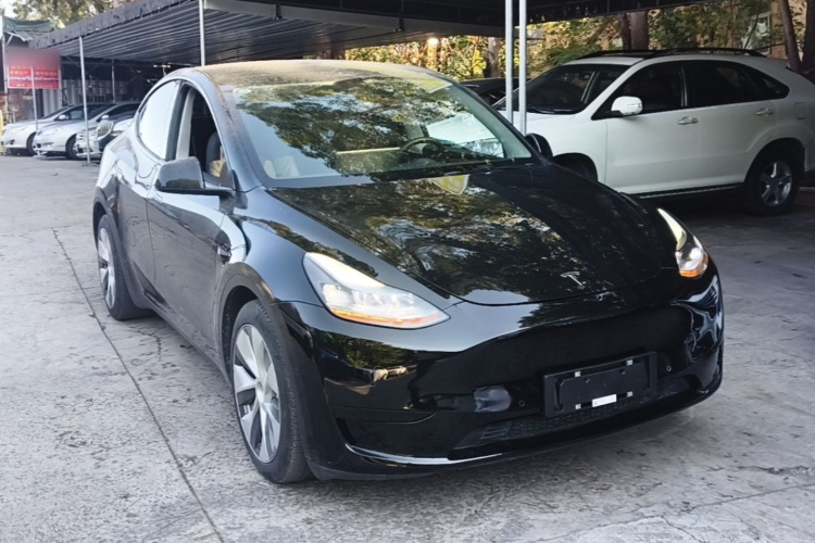 Tesla Model Y 2023 immagine di auto #4